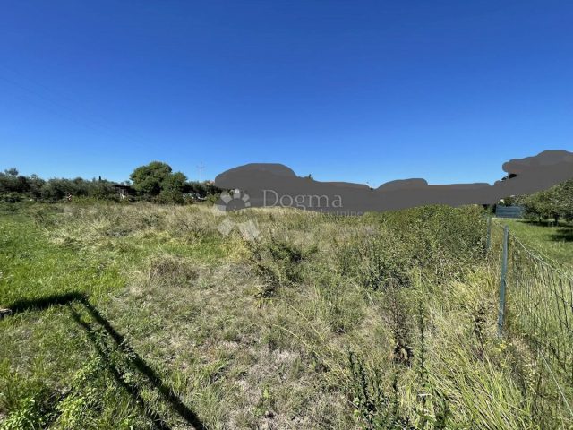 Land for sale 1294 m² – Buje