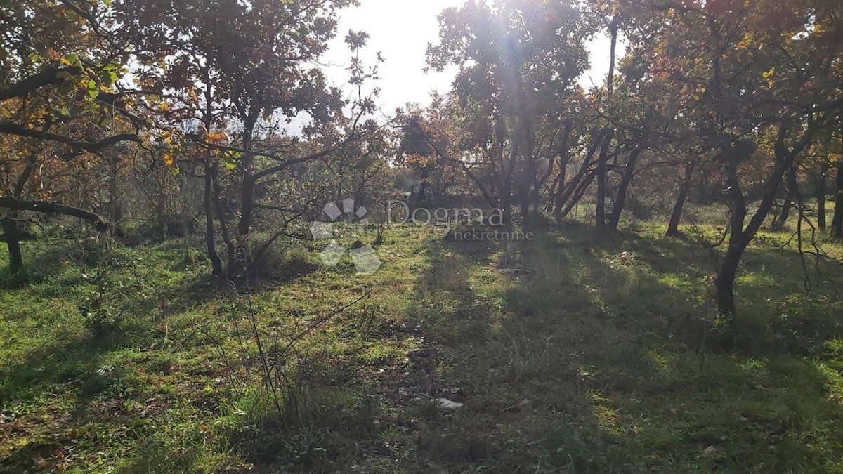 Działka Na sprzedaż - ISTARSKA Marčana