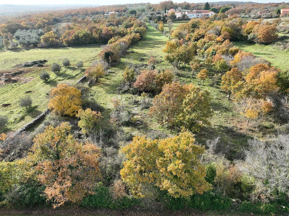 Terreno In vendita - ISTARSKA MARČANA