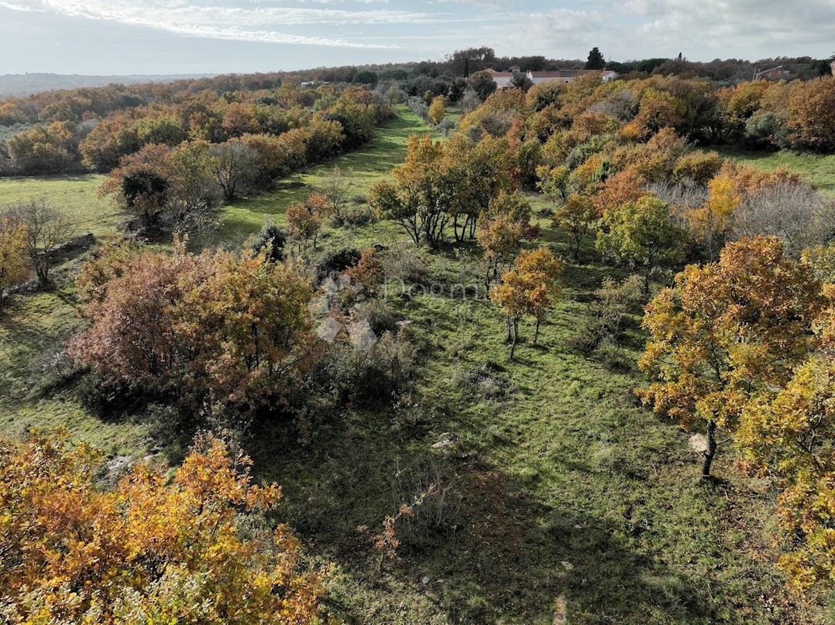 Terreno In vendita - ISTARSKA MARČANA