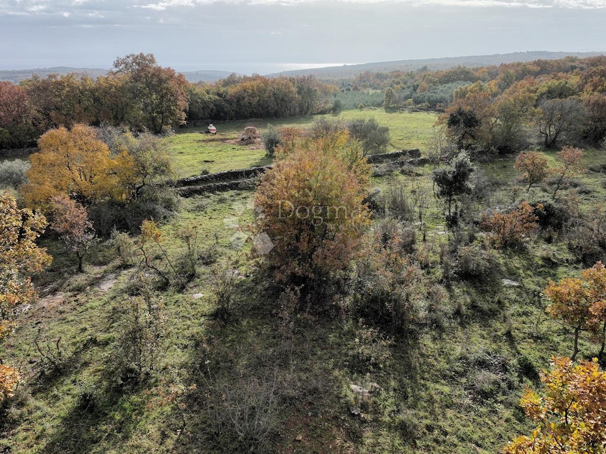 Terreno In vendita - ISTARSKA MARČANA