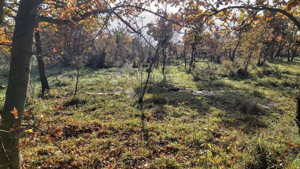 Terreno In vendita - ISTARSKA MARČANA