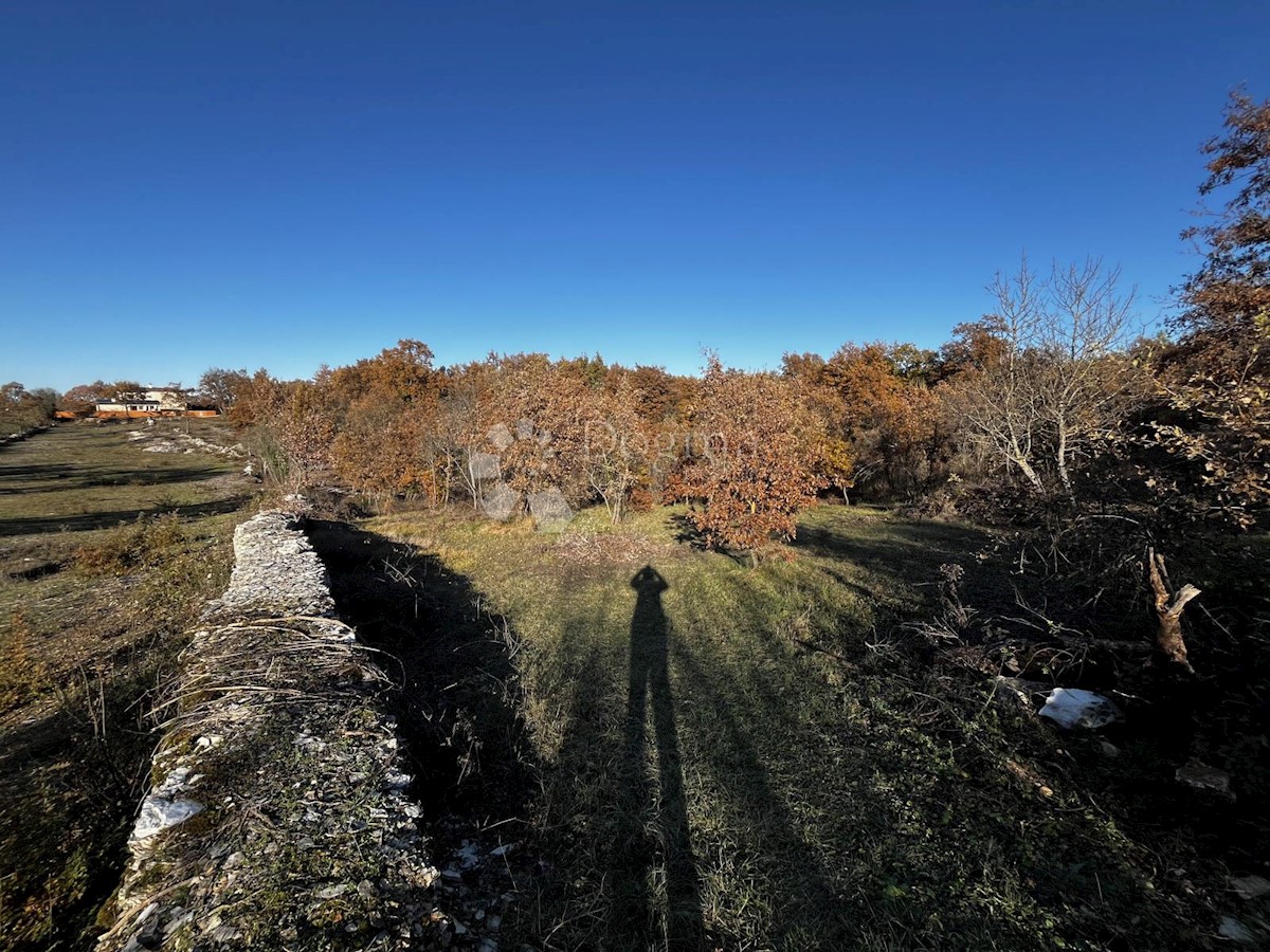 Terreno In vendita - ISTARSKA SVETVINČENAT