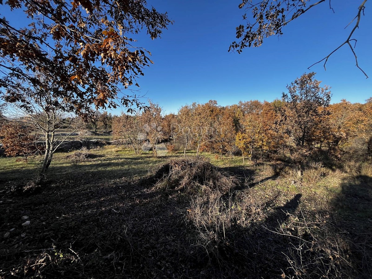 Terreno In vendita - ISTARSKA SVETVINČENAT