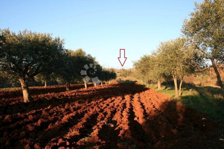 Zemljište na prodaju 2005 m² – Bale
