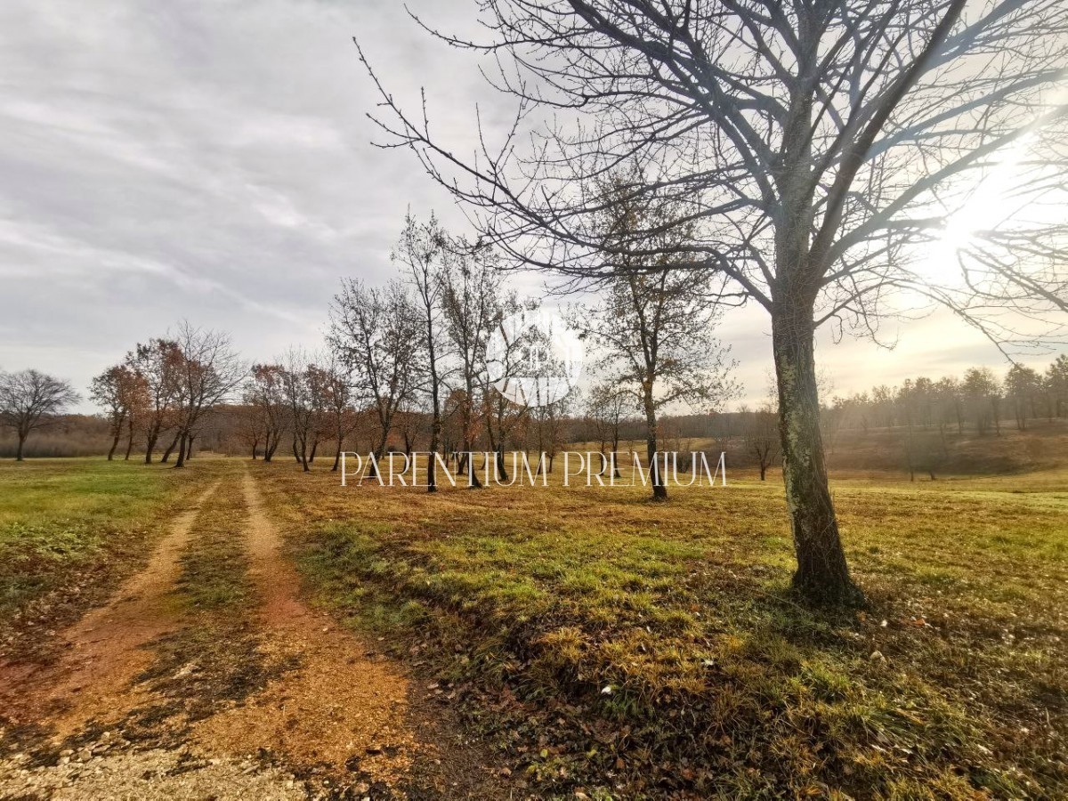 Działka Na sprzedaż - Istarska Poreč - foto 1/2