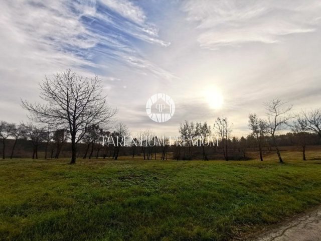Pozemek na prodej 8291 m² – Poreč