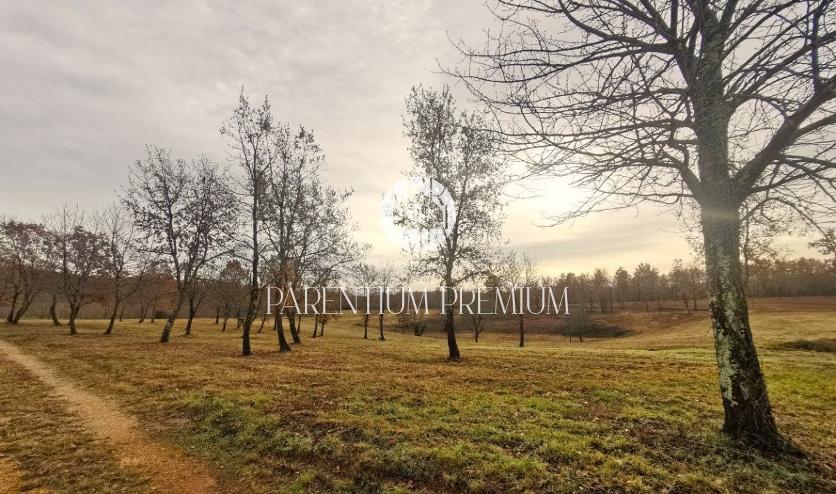 Terreno In vendita - Istarska Poreč - foto 3/6