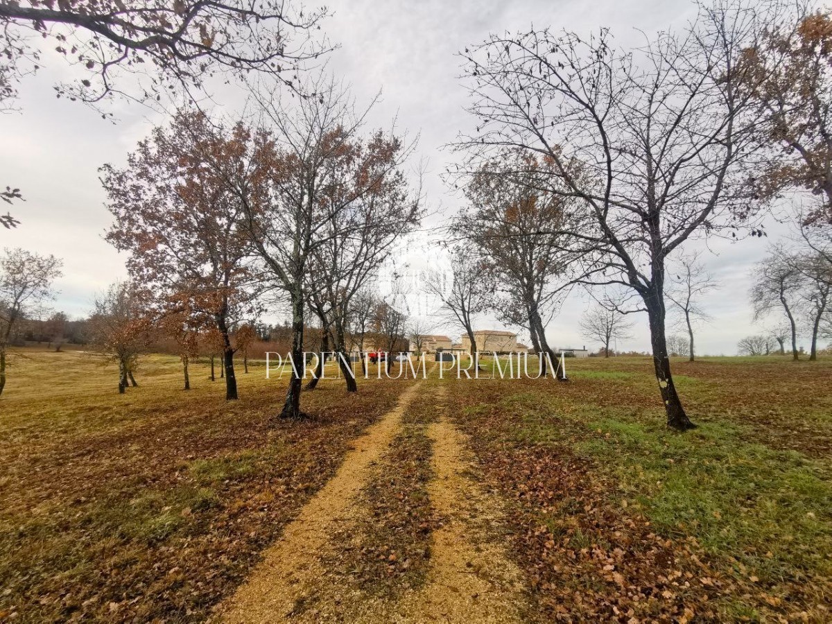 Terreno In vendita - ISTARSKA POREČ