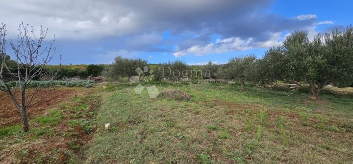 Terrain à vendre 870 m² – Debeljak
