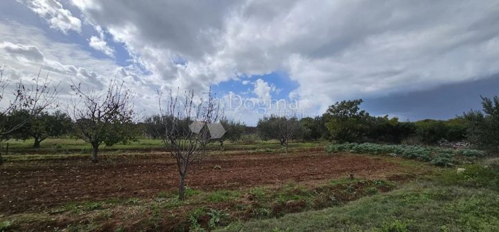 Pozemek Na prodej - Zadarska Sukošan - foto 2/8