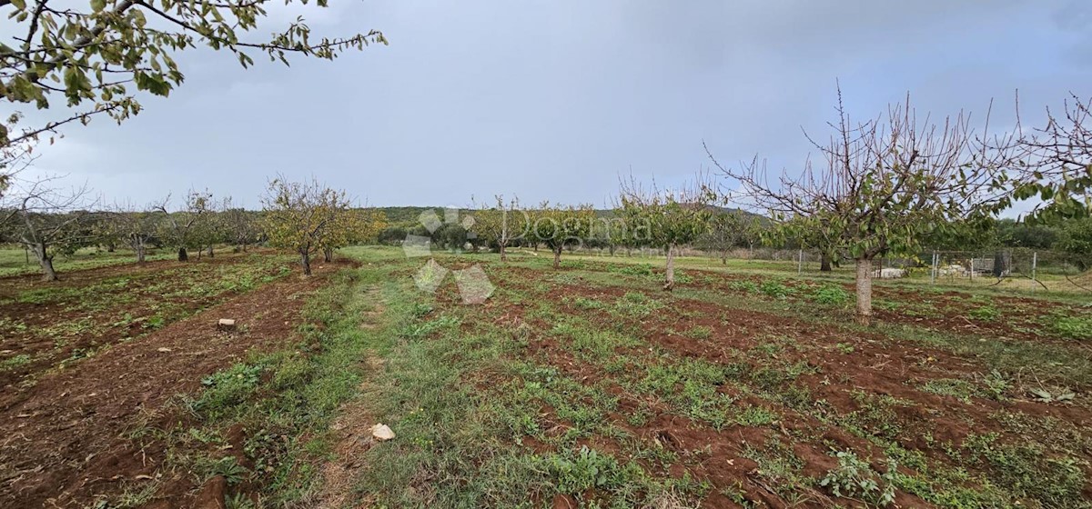 Land For sale - ZADARSKA SUKOŠAN