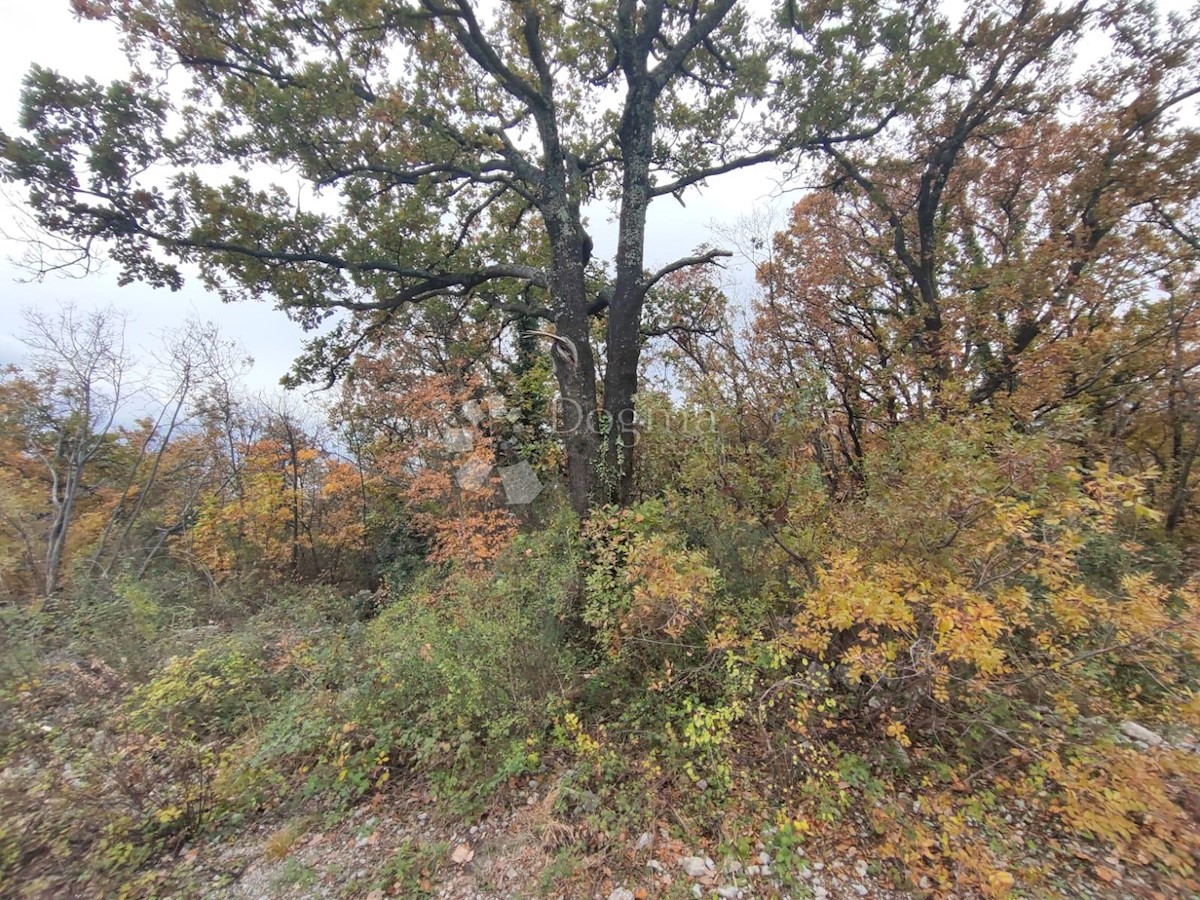 Land For sale - PRIMORSKO-GORANSKA RIJEKA