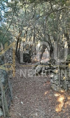 Pozemek na prodej 18058 m² – Belej