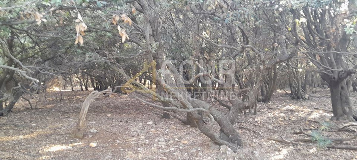 Terreno In vendita - PRIMORSKO-GORANSKA MALI LOŠINJ