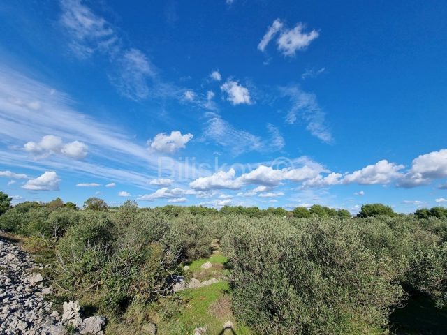 Terrain À vendre - šibensko-kninska Vodice - foto 3/4