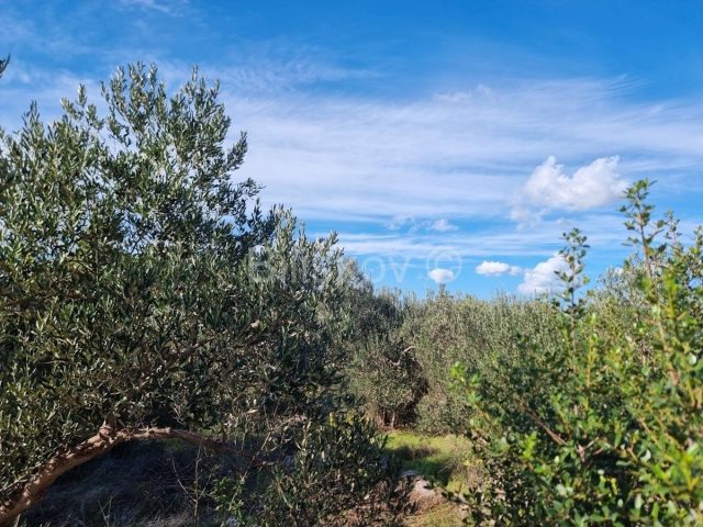 Terrain À vendre - šibensko-kninska Vodice - foto 4/4