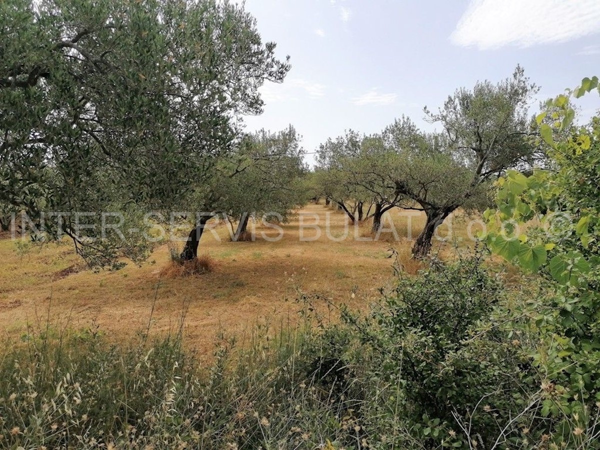 Terreno In vendita - ŠIBENSKO-KNINSKA SKRADIN