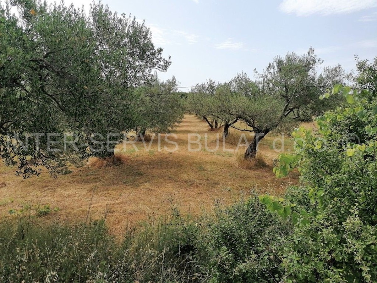 Terreno In vendita - ŠIBENSKO-KNINSKA SKRADIN