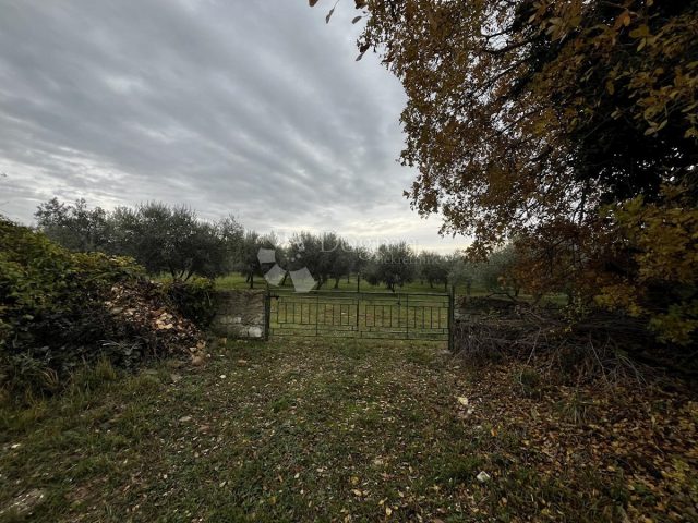 Terrain à vendre 5431 m² – Peroj