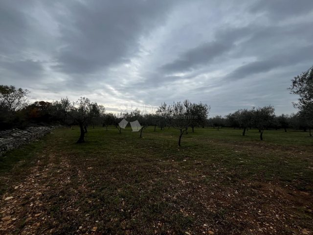 Terreno In vendita - Istarska Vodnjan - foto 4/6