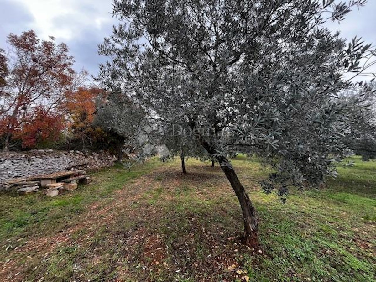Land For sale - ISTARSKA Vodnjan