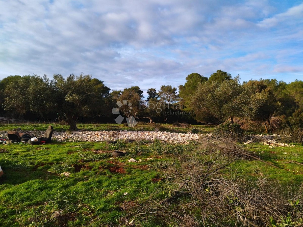 Land For sale - SPLITSKO-DALMATINSKA BRAČ