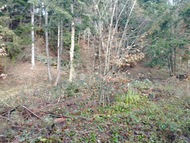 Terrain à vendre 3380 m² – Pila