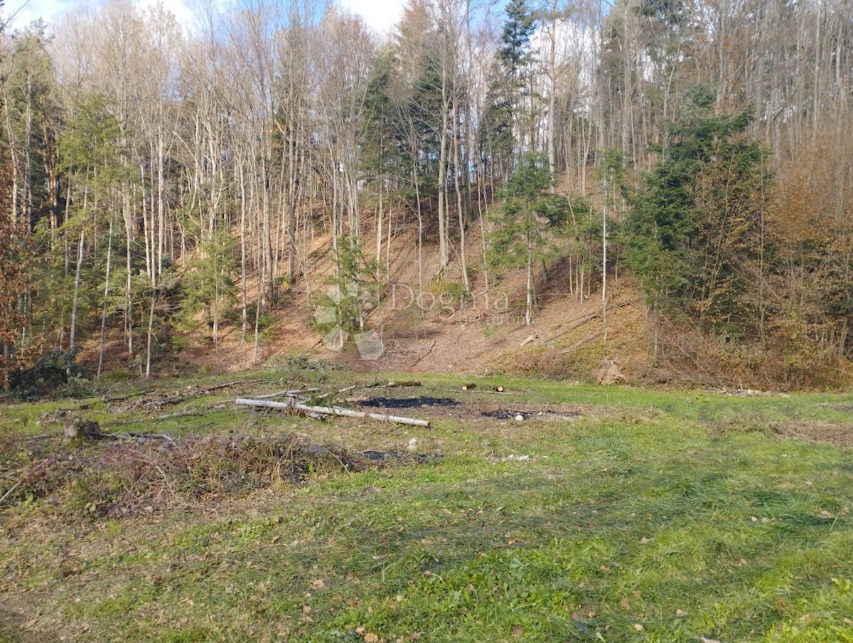 Zemljište Na prodaju - KRAPINSKO-ZAGORSKA STUBIČKE TOPLICE
