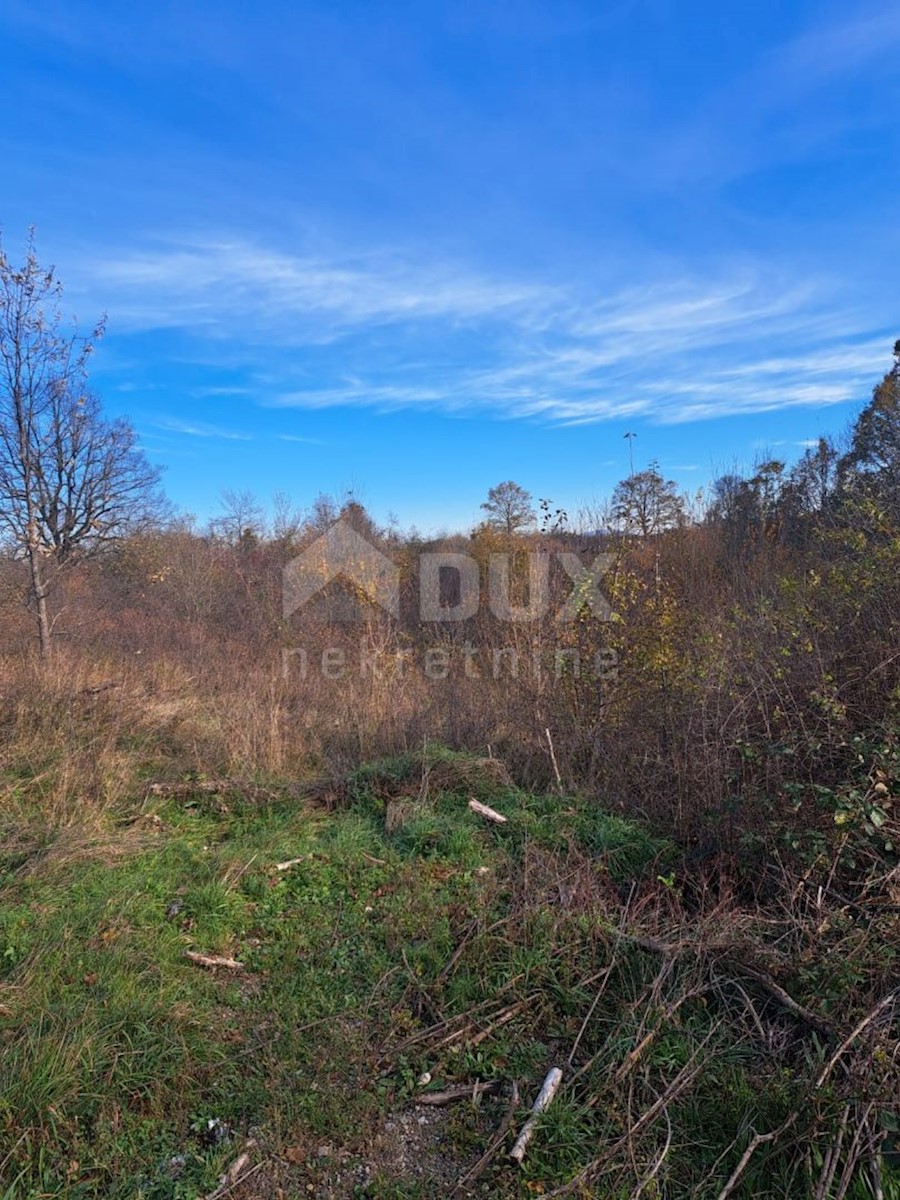 Land For sale - KARLOVAČKA RAKOVICA