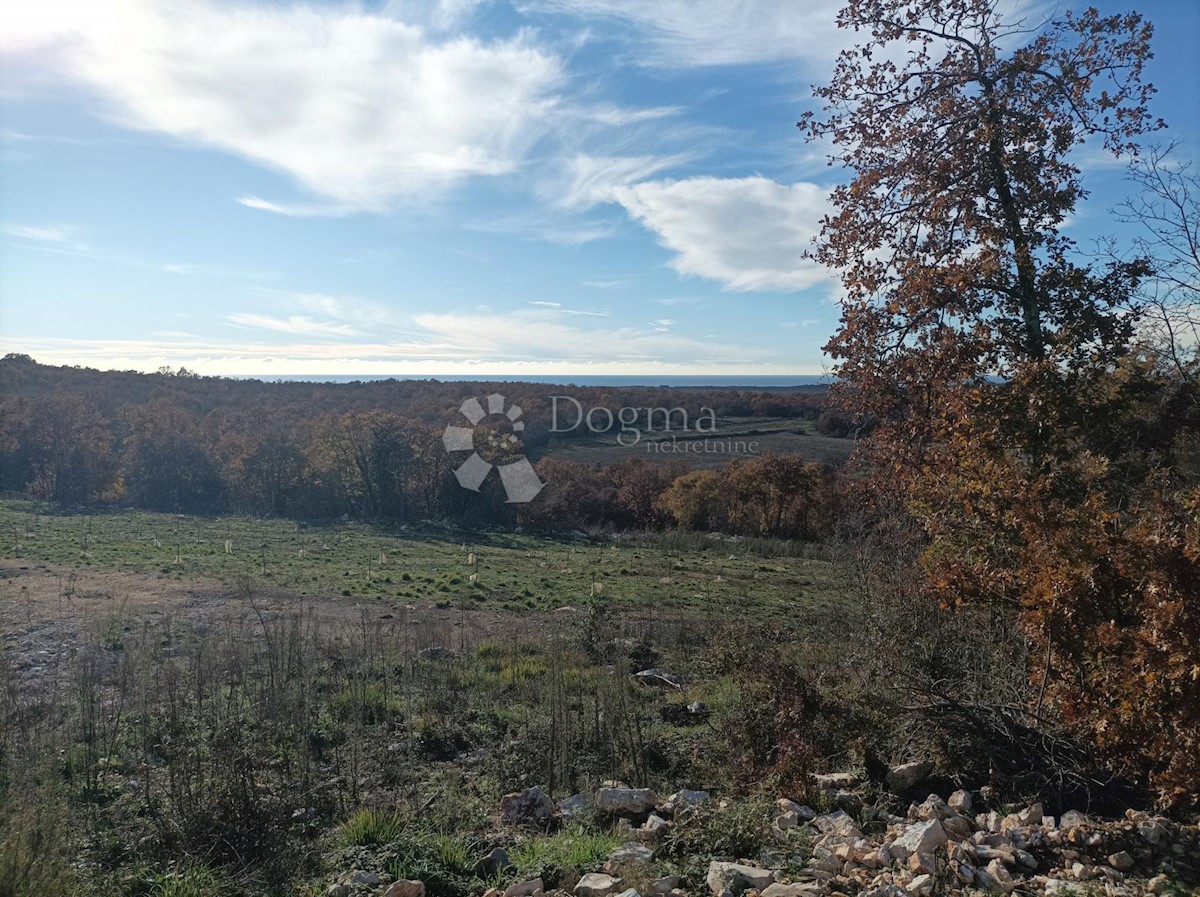 Kuća Na prodaju - ISTARSKA BALE