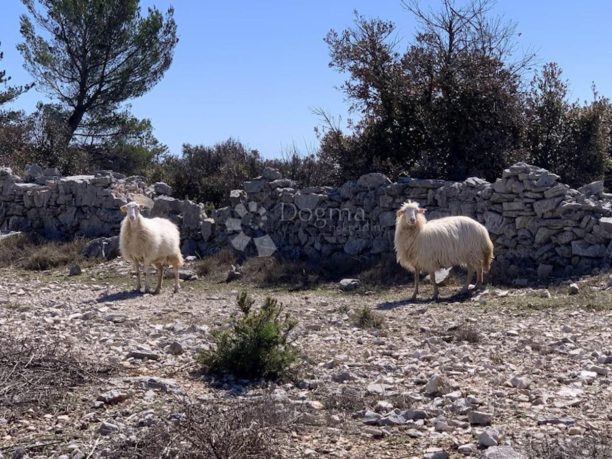 Zemljište Na prodaju - SPLITSKO-DALMATINSKA BRAČ