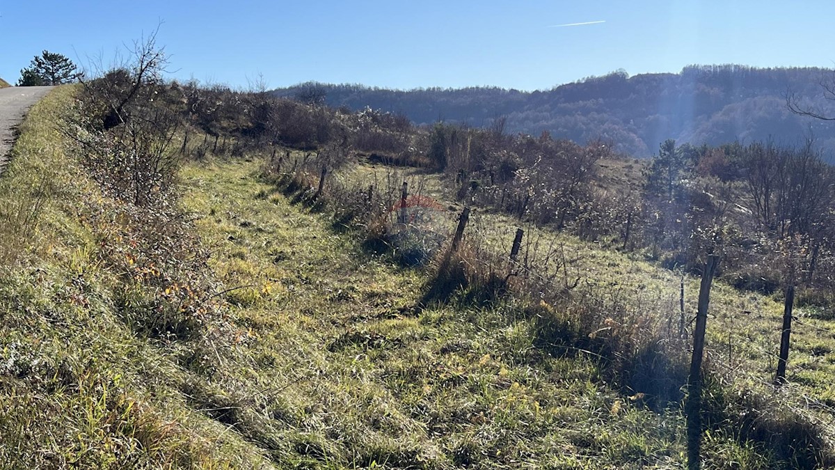 Parcela Na predaj - ISTARSKA PAZIN