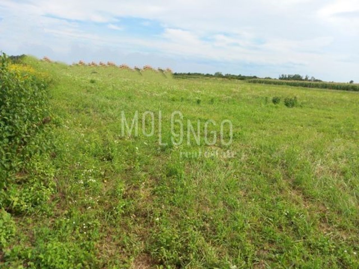 Land For sale NOVO ČIČE