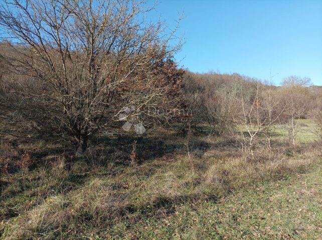 Terreno in vendita 2020 m² – Kanfanar