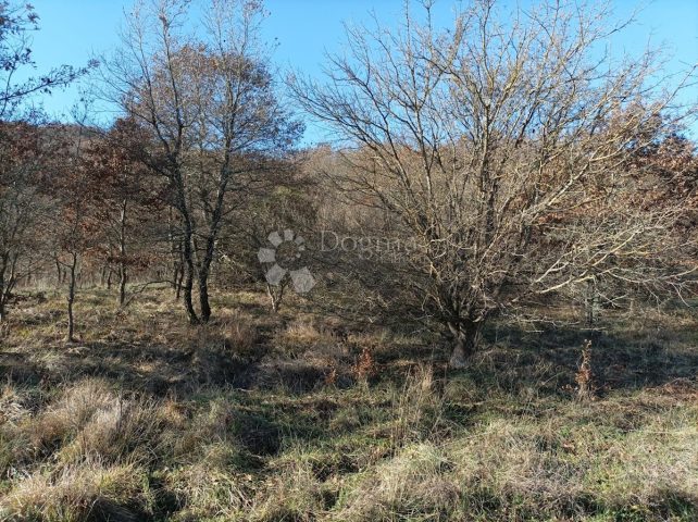 Terreno In vendita - Istarska Kanfanar - foto 2/3