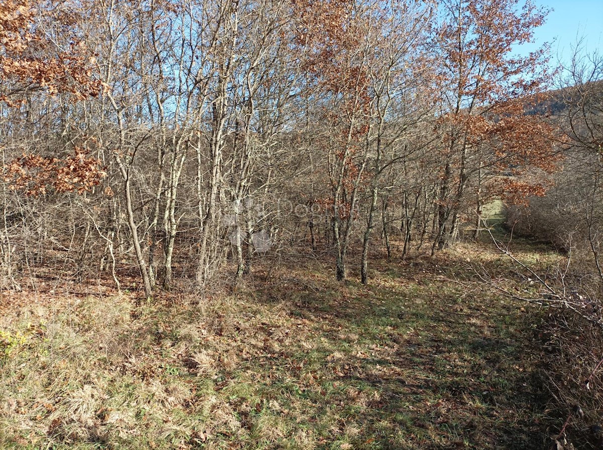 Zemljište Na prodaju - ISTARSKA KANFANAR