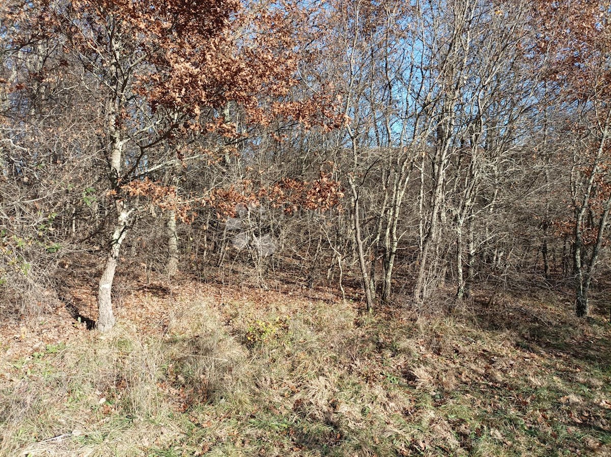Parcela Naprodaj - ISTARSKA Kanfanar