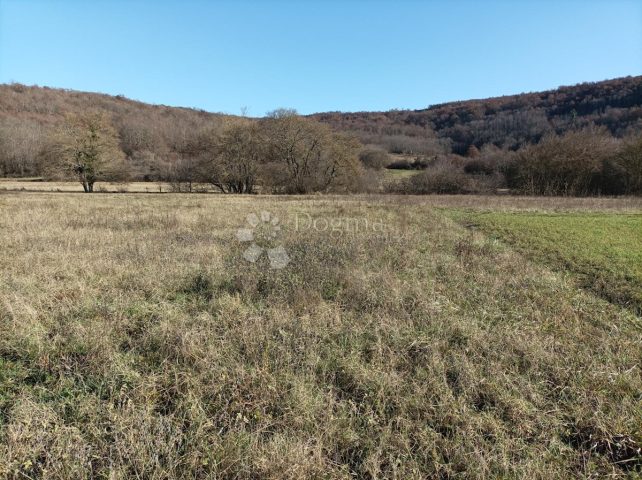 Terreno in vendita 3610 m² – Kanfanar