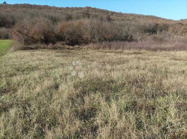 Land For sale - Istarska Kanfanar - foto 2/2