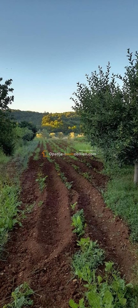 Land For sale - ISTARSKA LABIN