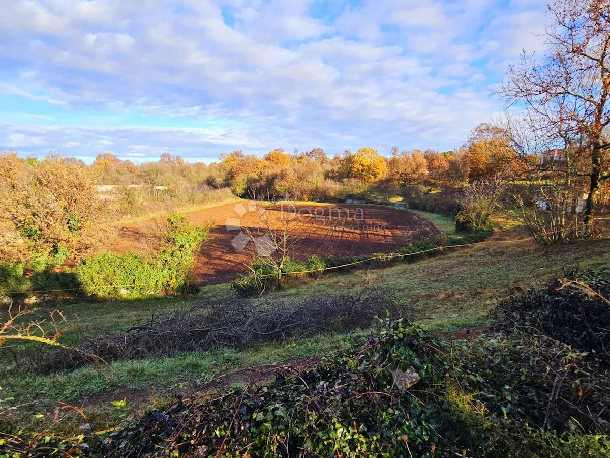 Terreno In vendita - ISTARSKA SVETVINČENAT