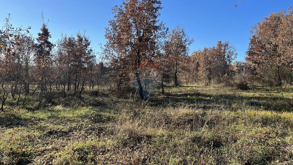 Terrain À vendre - Istarska Poreč - foto 1/4