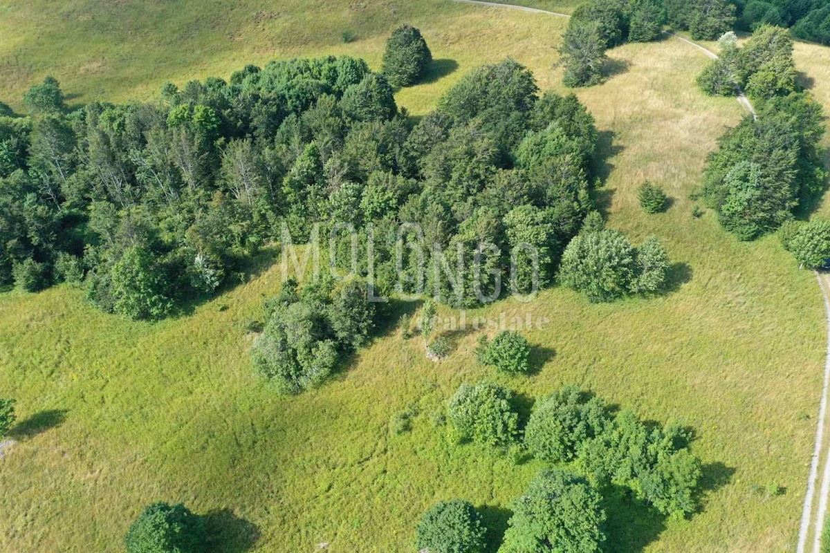 Land For sale - PRIMORSKO-GORANSKA MRKOPALJ