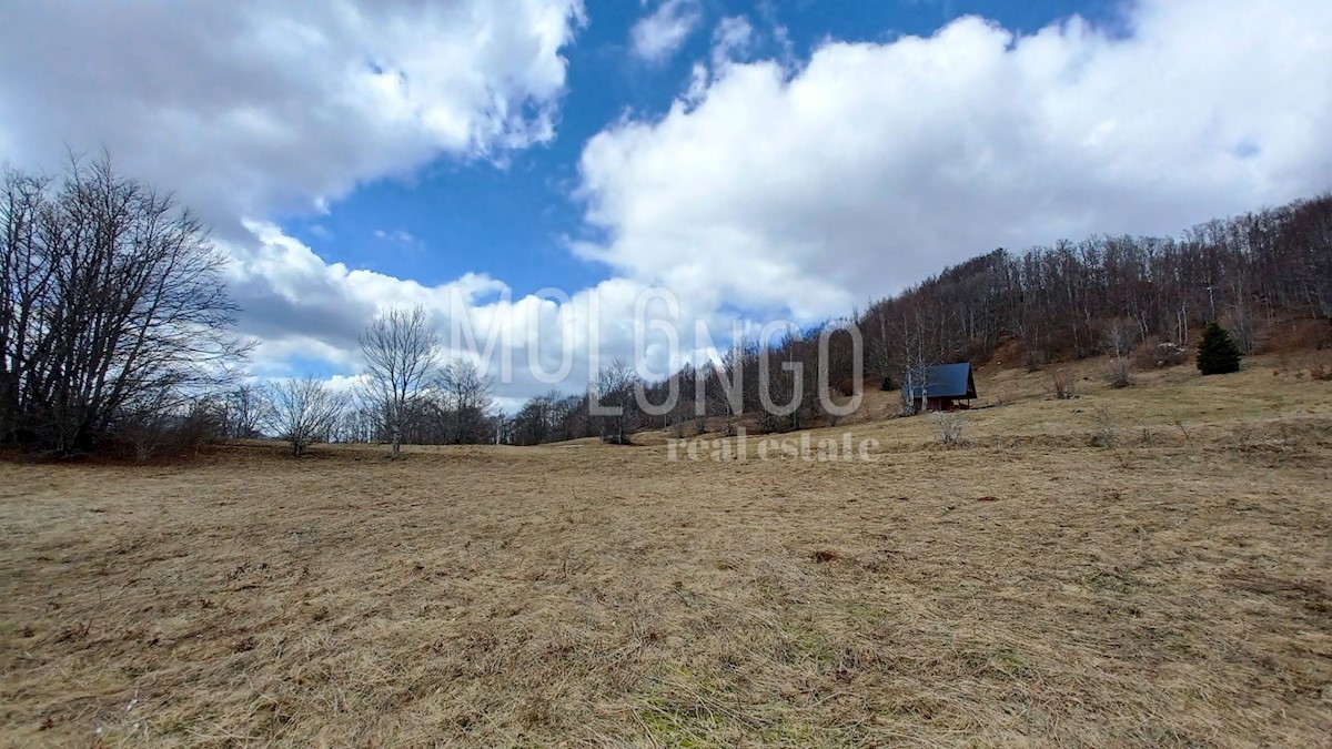 Land For sale - PRIMORSKO-GORANSKA MRKOPALJ