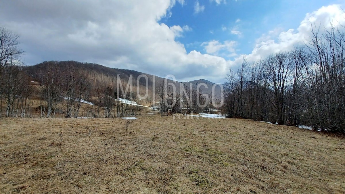 Land For sale - PRIMORSKO-GORANSKA MRKOPALJ