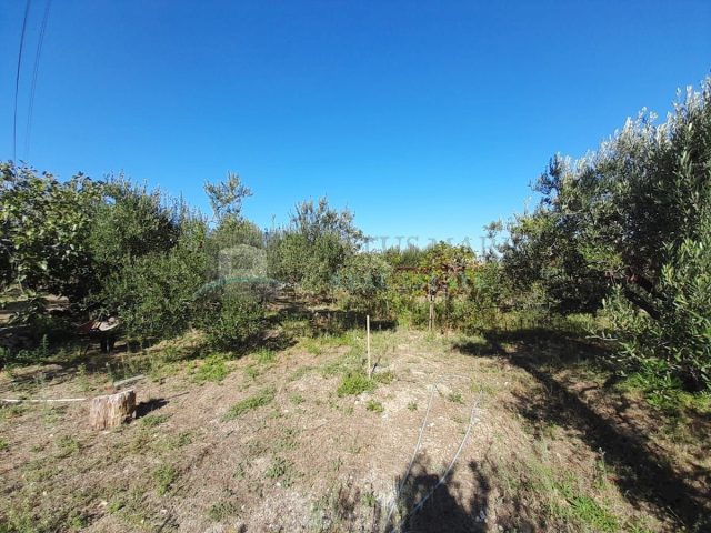 Land For sale - šibensko-kninska Vodice - foto 5/17