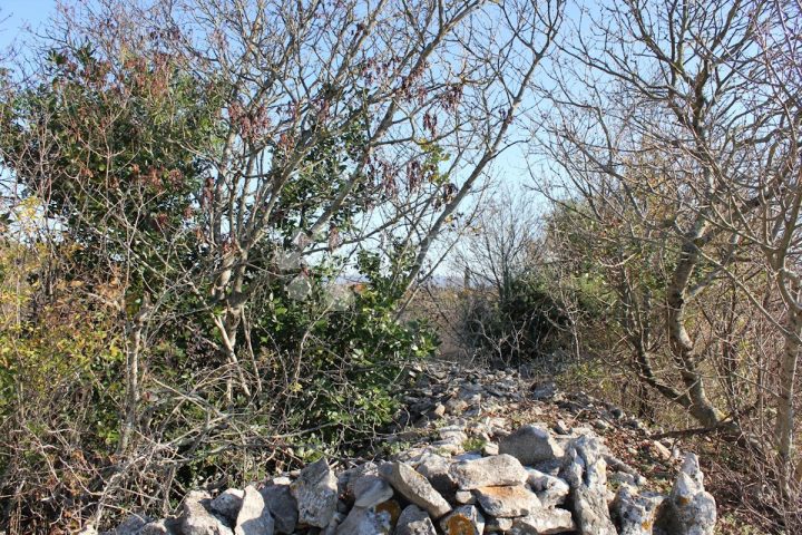 Terreno In vendita - Istarska Marčana - foto 4/6