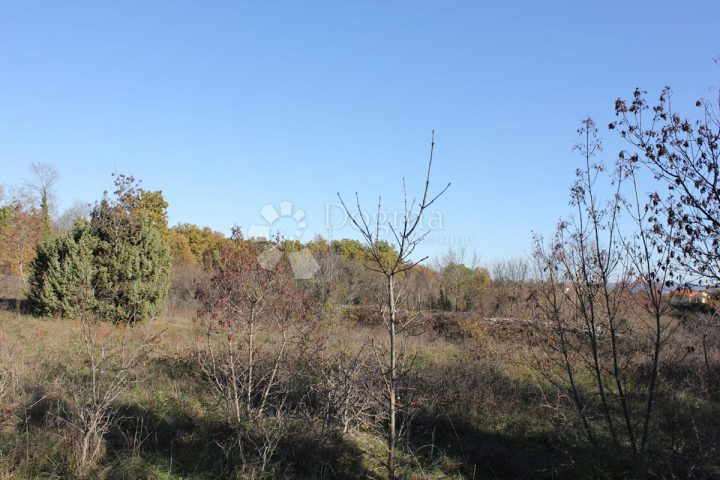 Terreno In vendita - Istarska Marčana - foto 5/6