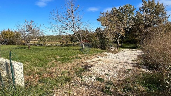 Land for sale 1335 m² – Čepljani